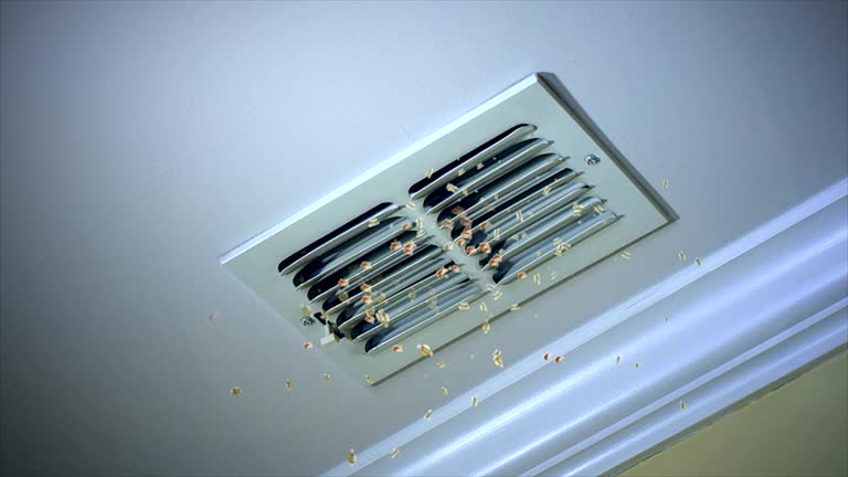 Best HVAC Duct Inspection Services  in Belleair, FL