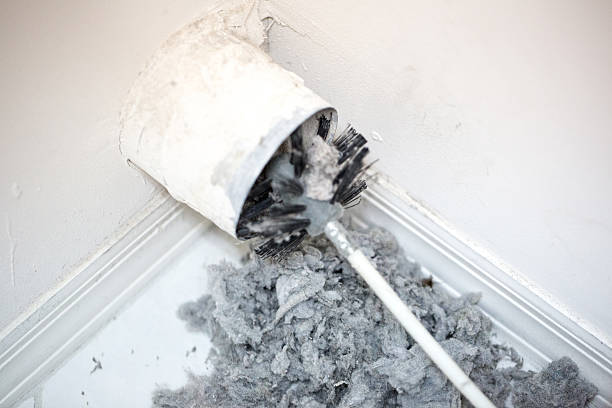 Best Dryer Vent Cleaning Services  in Belleair, FL